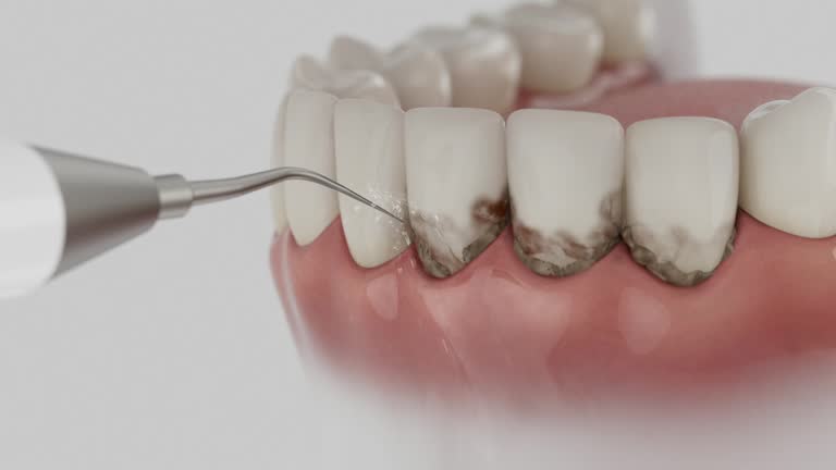 Reliable Dental contractor in Diboll, TX by Dentist Open Now